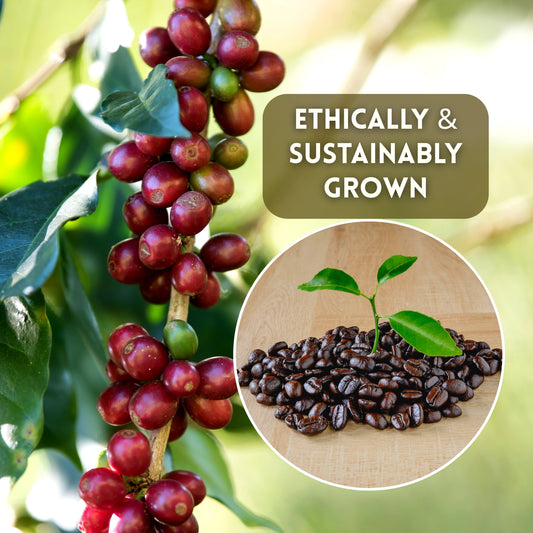 Shop ethically sourced and sustainably grown beans with premium quality taste