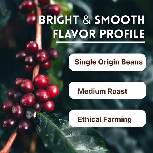 Order Tanzania Peaberry Coffee beans USA– high quality East African coffee beans with rich full‑body flavor