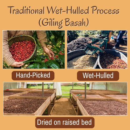 Purchase Bali Blue Coffee beans – traditional Giling Basah wet-hulled process for rich, smooth, aromatic coffee
