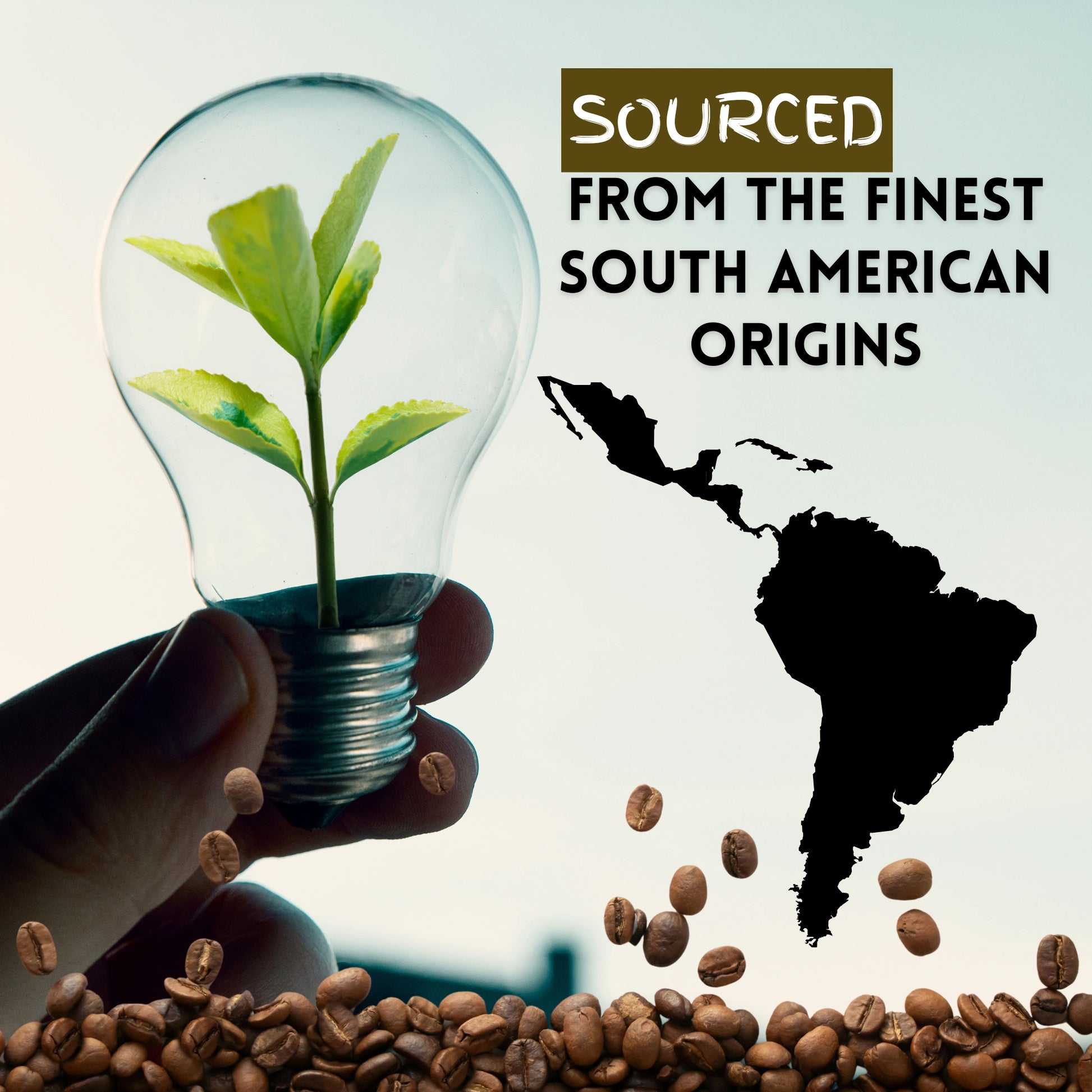 Shop Breakfast Blend coffee sourced from premium coffee-growing regions for quality and freshness