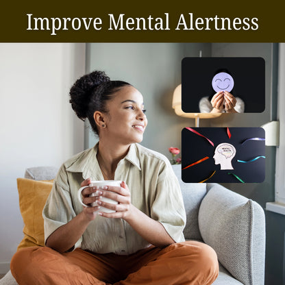 Buy French Vanilla Coffee – naturally caffeinated brew that supports focus, energy, and mental alertness