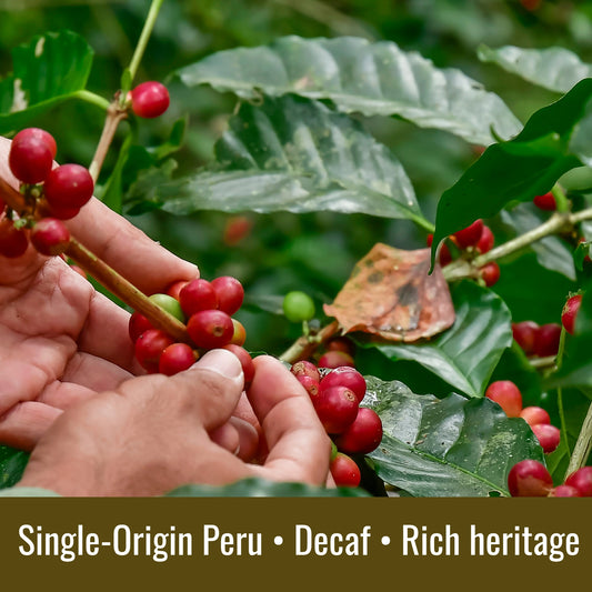 Shop single-origin Peru Decaf Coffee – Twissie
