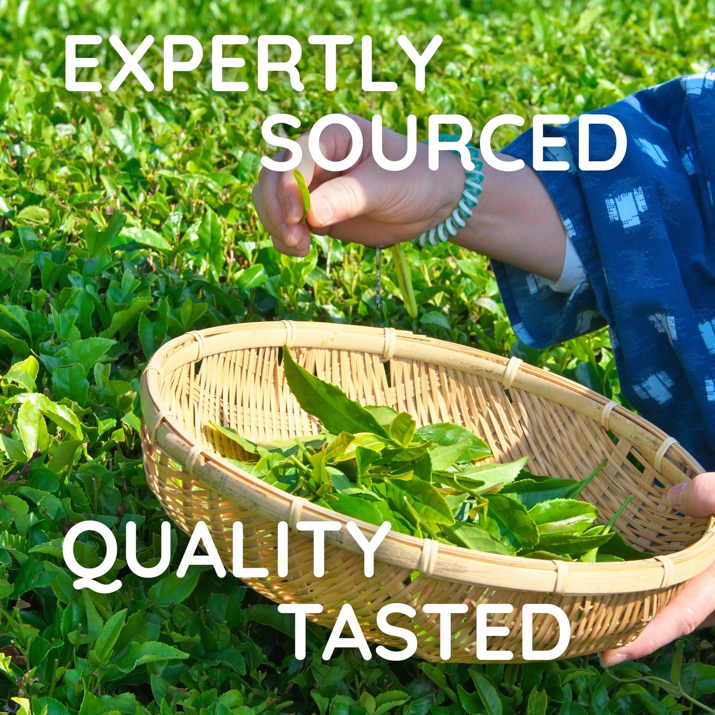 English Breakfast Tea — Robust Breakfast Blend (Loose / Bags)