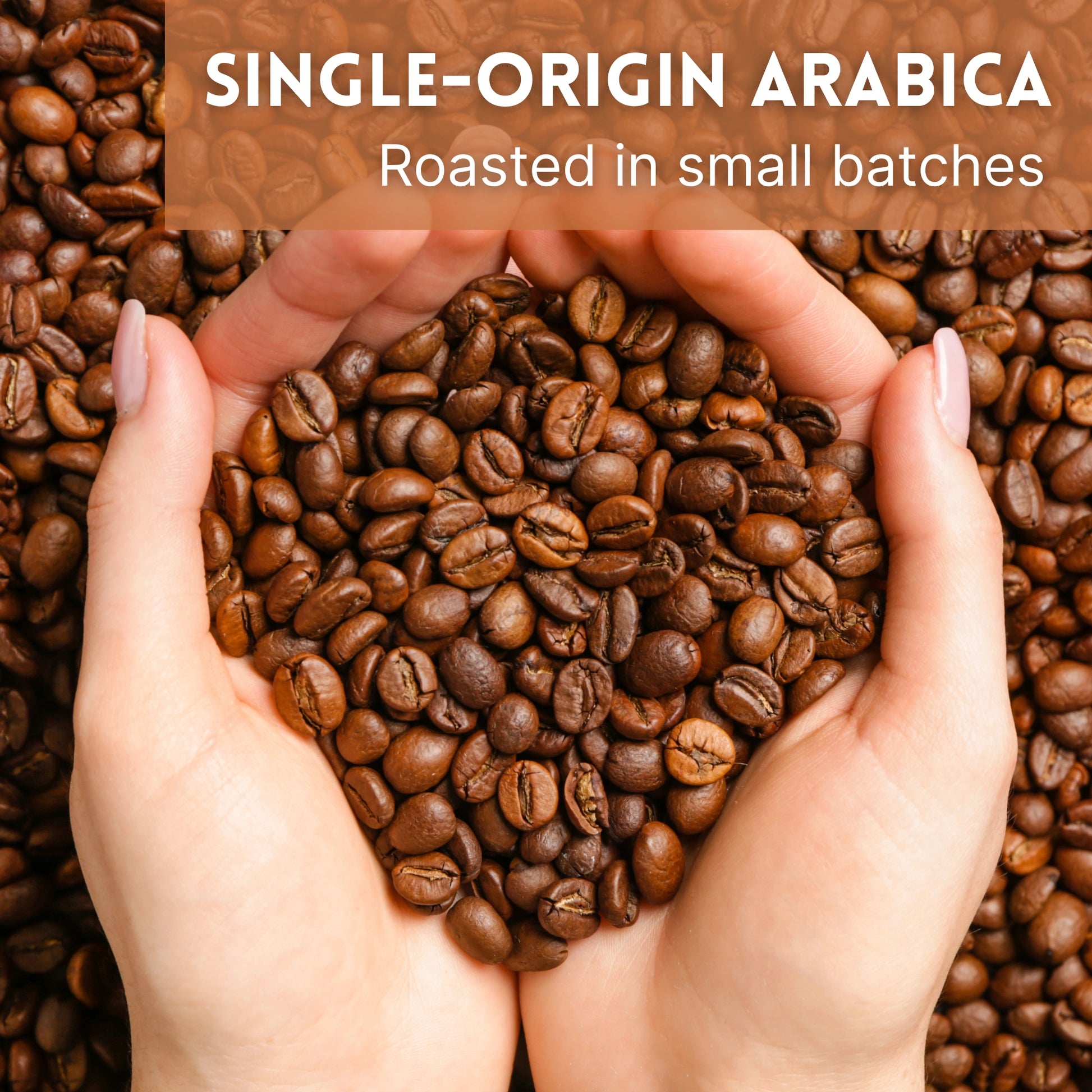 Shop Candy Cane Coffee – premium single-origin medium roast beans with natural peppermint and vanilla flavors