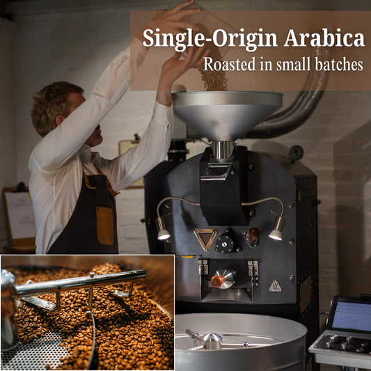 Shop Cinnamon Hazelnut Coffee – premium single-origin medium roast coffee beans with natural specialty flavor