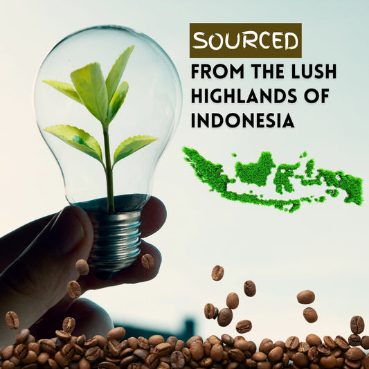 Sumatra Mandheling Coffee beans for sale – Indonesian single-origin Arabica coffee