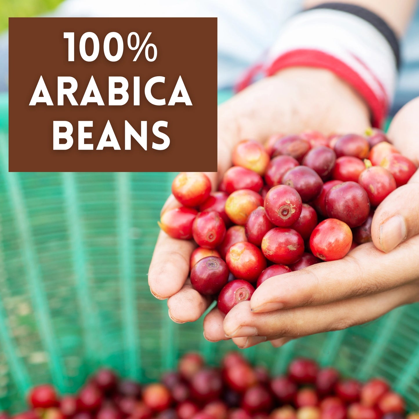 Shop Breakfast Blend Coffee made with 100% Arabica beans - Twissie