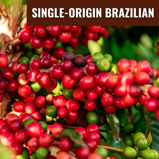 Shop Hazelnut Coffee – premium single-origin coffee beans for medium roast gourmet flavor