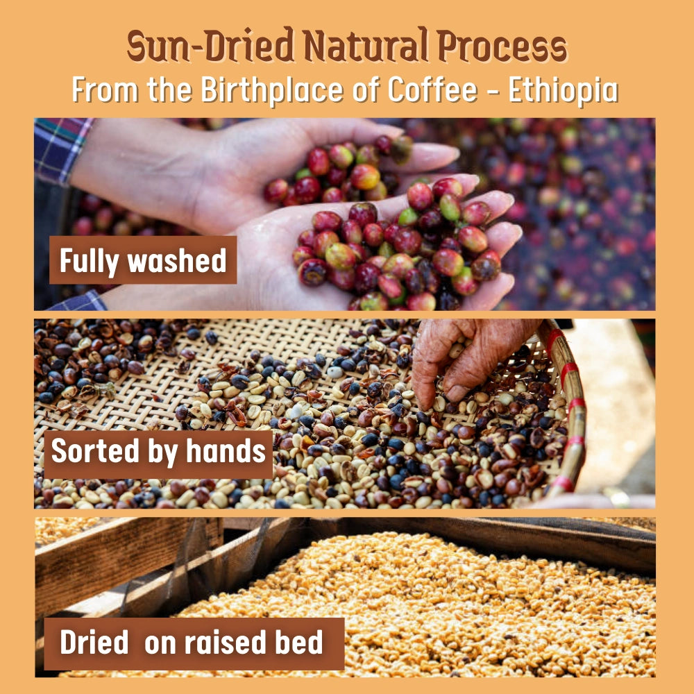 Purchase Ethiopia Natural Coffee beans – sun-dried natural process for rich, juicy, fruit-forward flavor