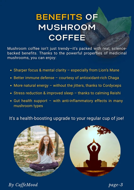 Mushroom Coffee Mastery: 15 Powerful Recipes to Brew Health & Energy Naturally